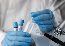 8 domande di fisica e matematica. Come Superare Il Test Medicina 2021 Come Comportarsi Al Test Maturansia