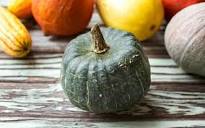 Organic Buttercup Squash | 1 count | Lonely Mountain Farm | Good ...