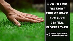 The homeowner should monitor the lawn each day during this most crucial time. Finding The Right Kind Of Grass For Your Yard Daniels Lawn Service