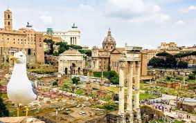 Sejururile sunt flexibile si pot fi organizate si pentru alte hoteluri si pentru un numar variabil de nopti, la cererea. Cu Copiii In Vacanta La Roma Jurnalul Alinutei