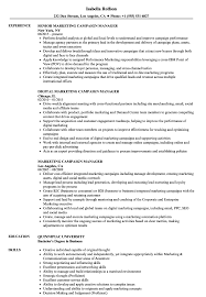 marketing campaign manager resume