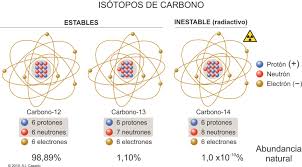 Cómo se determina la edad de un fósil? | Ingenia