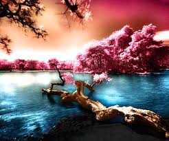 Change your android wallpaper with google's wallpapers app. Download Hd Wallpapers For Tablet 960x800 Wallpaper Teahub Io