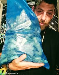 Wisconsin morel hunting updates and finds