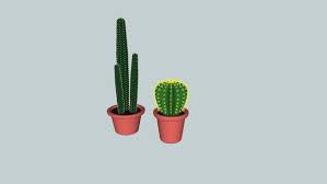 Pin By Ka Ka On 3d Model Cactus Cactus Plants Plants