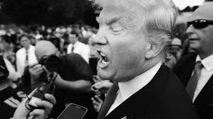 secret birther implosion