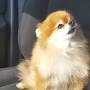 Profile Picture of robin niles - YouTube (@youtube.com) on Google