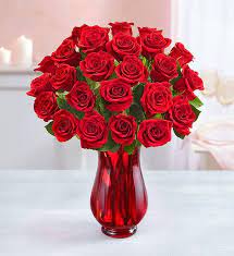 If you were watched shark tank in the previous years than you certainly have noticed that the best and most successful products to come from shark tank are wrinkle creams or the face. 8 Best Flower Delivery Services For Mother S Day 2021 Cheap Online Flowers Plants