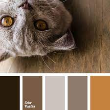 Beige Brown With A Shade Of Gray Color Matching Dark Brown Dark Gray Brown Color Gray Brown Light B Color Palette Color Palette Bright Warm Color Schemes