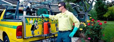 Many pest control services near you will provide a low introductory rate but try to rope homeowners into annual. Organic Green Pest Control Services Western Exterminator