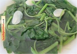Tidak mau kan sayur bayam yang dimakan keluarga jadi tidak lagi bernutrisi? Mengapa Bayam Tidak Boleh Disimpan Lama Benih Pertiwi