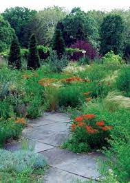Going Native Can Be A Smart Choice For Michigan Landscapes Native Plant Gardening Native Plant Landscape Native Landscaping