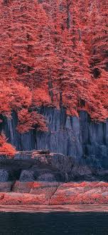 If you're looking for the best aesthetic wallpapers then wallpapertag is the place to be. Aesthetic Iphone X Wallpapers Top Free Aesthetic Iphone X Backgrounds Wallpaperaccess