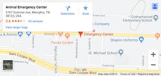 Maybe you would like to learn more about one of these? Emergency Vet Memphis Tn After Hours Veterinary Care Animal Emergency Center Memphis