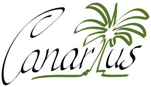 Image result for Raphionacme lanceolata