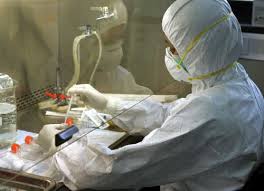 Biotechnology) คือ การใช้ระบบและสิ่งที่มีชีวิตเพื่อพัฒนาหรือสร้างผลิตภัณฑ์ที่มีประโยชน์, หรือ การประยุกต์ใช้เทคโนโลยีใดๆ. à¹€à¸—à¸„à¹‚à¸™à¹‚à¸¥à¸¢ à¸Š à¸§à¸ à¸²à¸ž Wisaruj11
