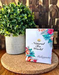 Natural Malagueta Tea Pimenta racemosa 25 Servings | Etsy México
