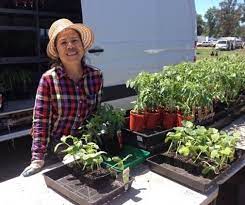 Markets & fairs was first established in 1993 and has run continuously since then. Whittlesea Monday Market Posts Facebook
