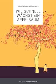 Wie Schnell Wachst Ein Apfelbaum Dein Kleiner Garten In 2020 Apfelbaum Kleiner Garten Schneller Wachsen