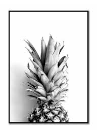 Livstil Ananas Crown White Schwarz Weisses Poster Poster Schwarz Weiss Hintergrund Weiss Hintergrundbilder Schwarz Weiss
