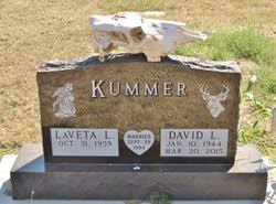 David L Kummer (1944-2015)