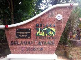 Untuk akses mudah di sekitar kawasan zoo, perkhidmatan trem disediakan untuk para pelawat. Melawat Zoo Melaka Percutian Bajet