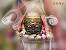 Wallpaper Full Hd Wallpaper Mahakal Ujjain