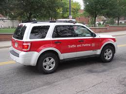 Image result for Kiwi Green 2009 Escape