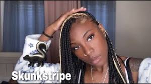 SMALL KNOTLESS BRAIDS WITH A TWIST (SKUNKSTRIPE) 🦨