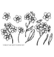 Flower branch flower art flower outline little flowers blue flowers forget me not tattoo flor tattoo branch tattoo illustration blume. Forget Me Not Sketch Vector Images Over 180