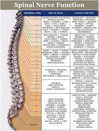 Myth 7 Chiropractors Only Treat Back Pain Damron