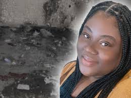 Fundraiser for Christina Tall by Christina Tall : Thanksgiving Disaster