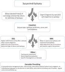 Manga that mans epilepsy bahasa indonesia selalu update di mangakid.site.jangan lupa membaca update manga lainnya ya. Initial Evaluation Of The Patient With Suspected Epilepsy Neurologic Clinics