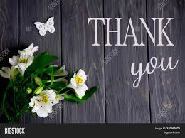 Thank you, hand lettering thank you with decorative graphic. White Flowers Image Photo Free Trial Bigstock