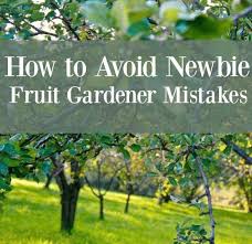 Garden Landscaping Brighton Her Garden Landscaping Ideas On A Budget Uk On Garden Landscaping Plymouth About Fruit Tree Garden Growing Fruit Trees Fruit Garden