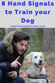 8 Hand Signals To Train Your Dog Dog Obedience Training Dog Training Tips Dog Training Commands Dog Training Advice Dog Training Obedience Dog Training