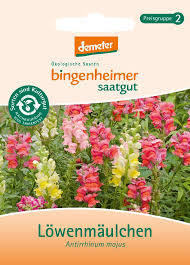 Es gibt ausdauernde und einjährige sorten. Biologisches Blumen Saatgut Lowenmaulchen Biogartenladen