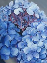 Julia Patience Blue Hydrangea Realism Paintings For Sale Buy Acrylic Artwork Nobullart Art Gallery Fiori Dipinti Ortensie Fiori