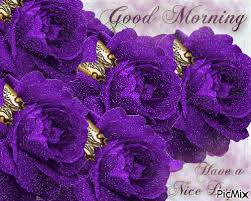 Maybe you would like to learn more about one of these? Good Morning Images With Purple Flowers Hutomo