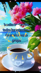 Saludo De Buenas Tardes Para Un Grupo | TikTok