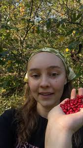 Snowberry Bush Identification