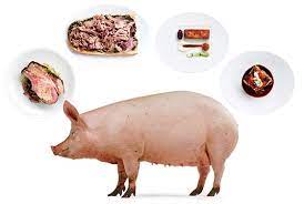 Can Dogs Eat Pork