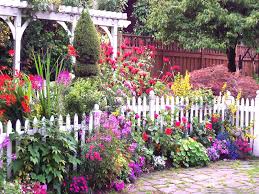 Backyard garden beautiful gardens dream garden planting flowers summer flowers garden cottage garden flower stock photography white picket fence summer flowers. English Cottage Garden Home Nature Flowers Garden Fence English Cottage Garden Cottage Garden Borders English Cottage Garden English Flower Garden