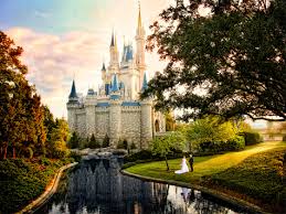 Disney Fine Art Photography And Video Capture The Moment Make A Memory Save It For A Lifetime Disney Parks Blog Sweet pea photography by liz.