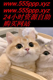 Ruth Williams on X: 小狐狸直播东北眼镜姐瑜伽裤林志玲搜书山西工商瑶浴李希染t.coBmal96NTnB   X