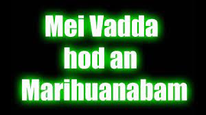 Ans zwa,ans zwa drei vier!!! Hans Sollner Mei Vadda Hod An Marihuanabam Chords Chordify