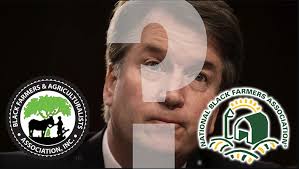 BFAA President Thomas Burrell Archives