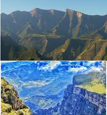 Image result for Achyrospermum schimperi