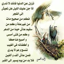 حكمة الشافعي Arabic Proverb Islamic Pictures Arabic Quotes