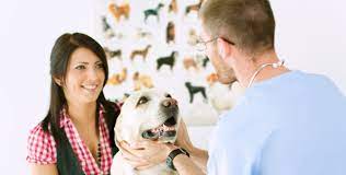 For your convenience, we recommend that you add your member services number to your phone contacts. Services Veterinarians In Lackawanna Community Pet Care Hospital